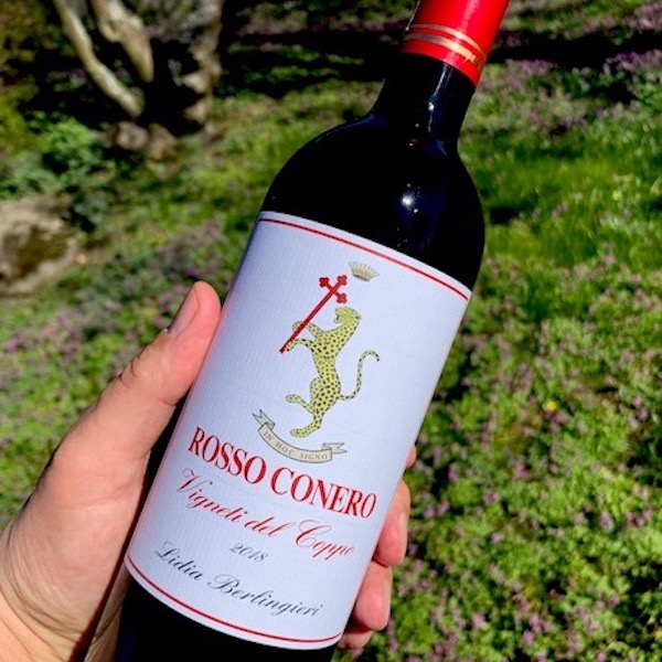 Rött vin från Marche i Italien: Rosso Conero 